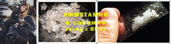 твердый Туринск