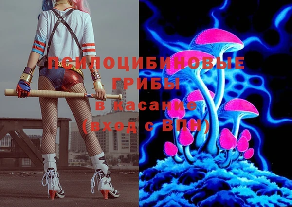 тгк Ладушкин