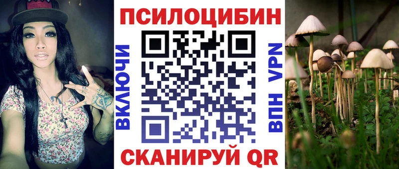 Псилоцибиновые грибы Psilocybine cubensis  закладки  Могоча 